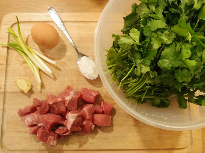 Shredded pork and coriander