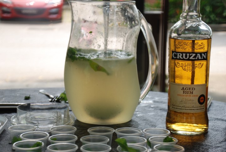 World_of_birdnest_museum_event_2